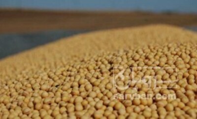 فروش سویا