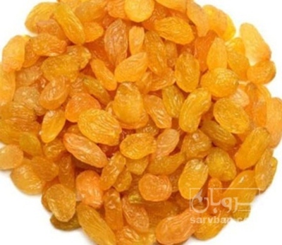 فروش کشمش تیزابی طلایی