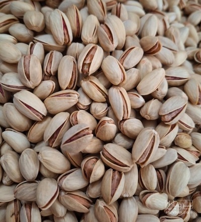 فروش پسته اکبری