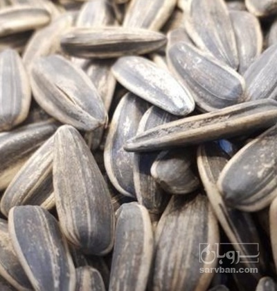 فروش تخمه آفتابگردان