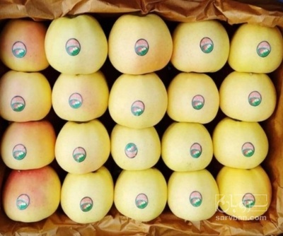 فروش سیب زرد