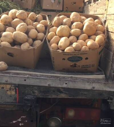 حق العمل کاری حاج حسین دانش یار