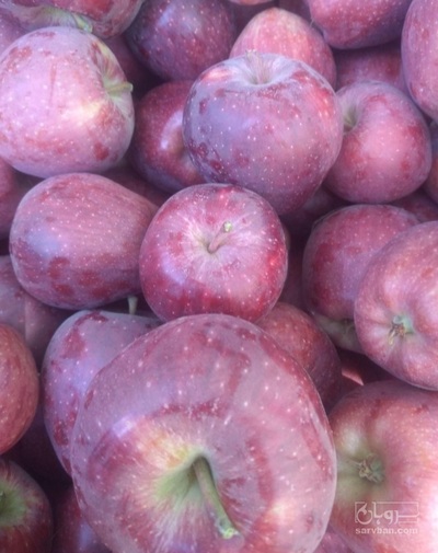 فروش سیب قرمز