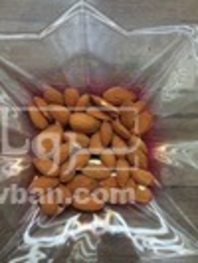 فروش بادام درختی