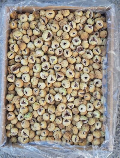 فروش انجیر خشک