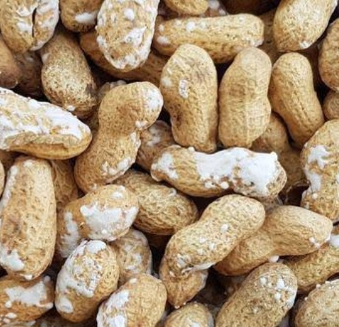 فروش بادام زمینی با قلاف