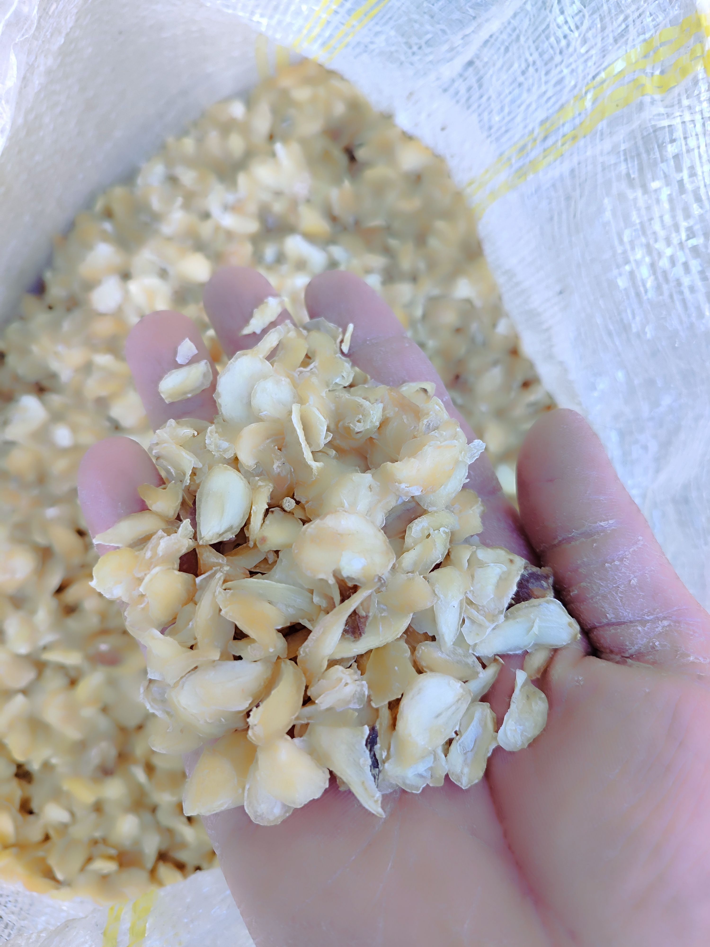 اسلایس سیر درجه یک