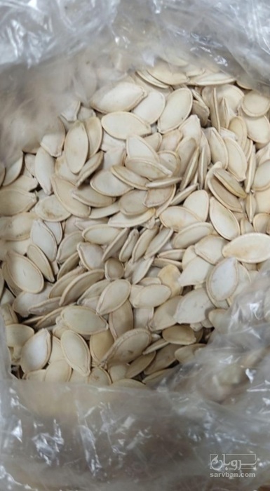 فروش تخمه  کدو