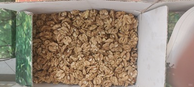 فروش مغز گردو