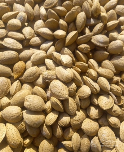 فروش بادام سنگی