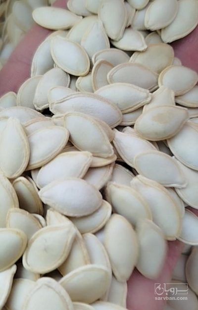 فروش تخمه  کدو بو داده