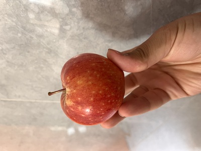 فروش سیب قرمز