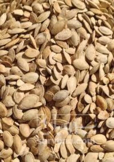 فروش تخمه  کدو