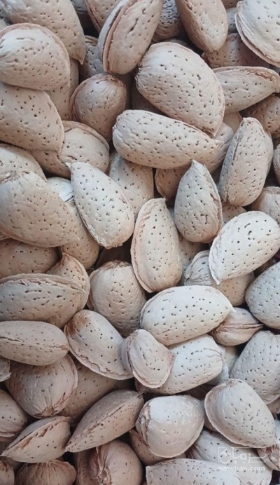 فروش بادام سنگی