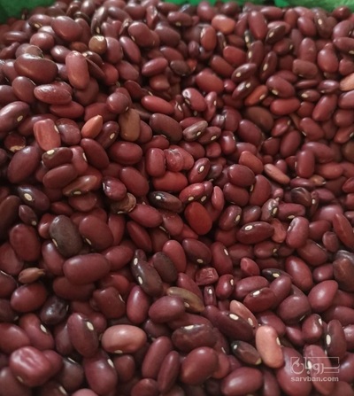 فروش لوبیا قرمز