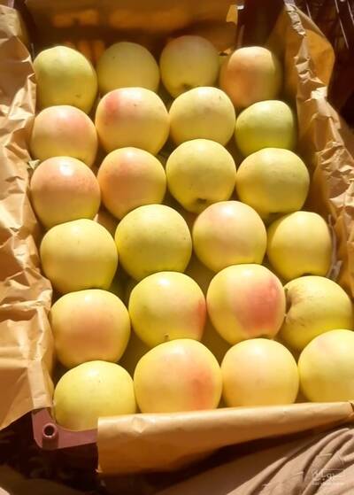 حق العمل کاری محمدی