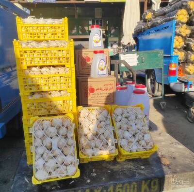 حق العمل کاری مهدی قادرزاده