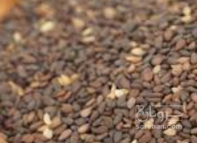 فروش کنجد | سروبان