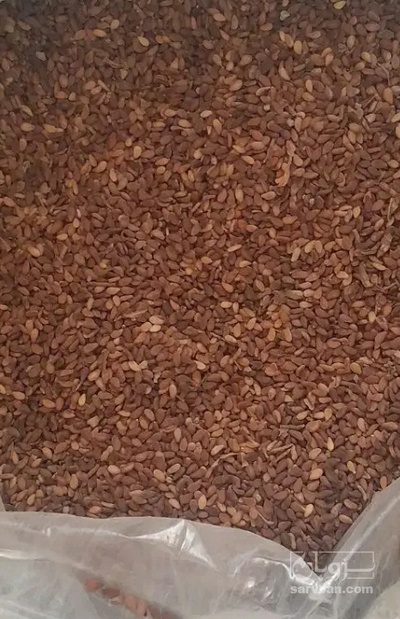 فروش کنجد قهوه ایی