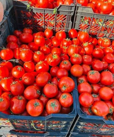 حق العمل کاری رحیم عسگرزاده