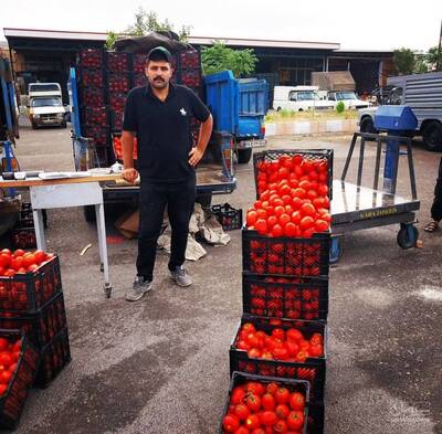 حق العمل کاری علیرضا جوادی