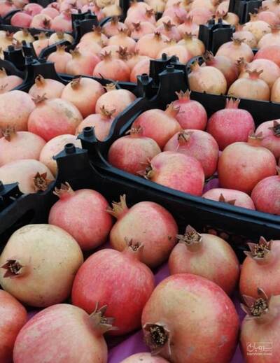 حق العمل کاری یوسفیان