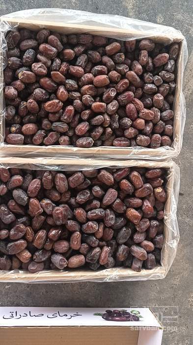 فروش خرما