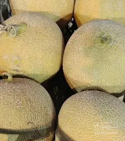 فروش ملون