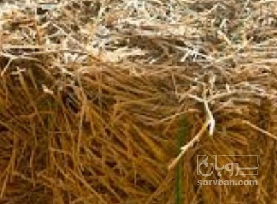 فروش کاه و کلش گندم