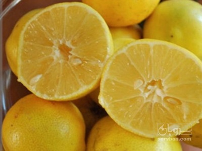 فروش لیمو شیرین