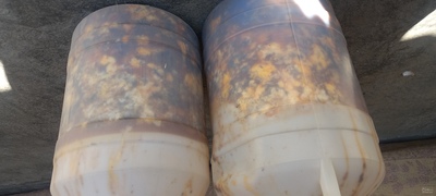 فروش باریجه