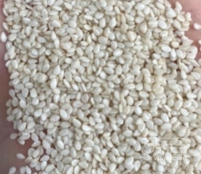 فروش کنجد سفید