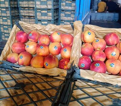 حق العمل کاری بهنام کریمی