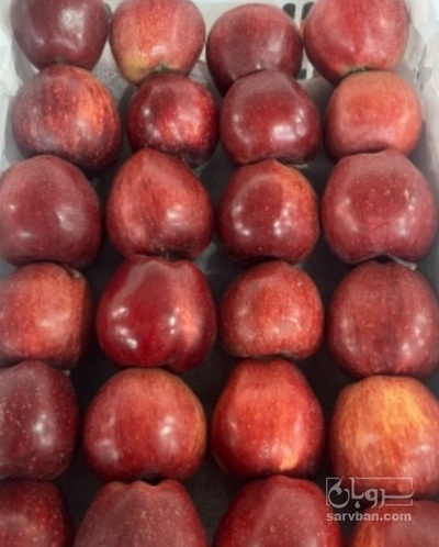 فروش سیب قرمز