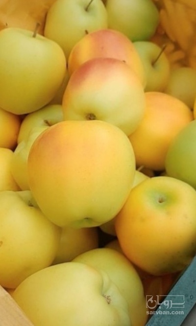 فروش سیب زرد