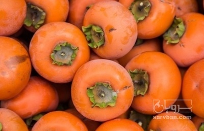 فروش خرمالو سردرختی