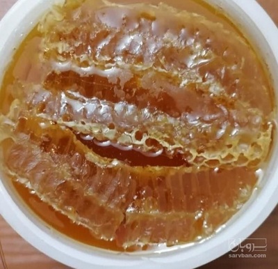 فروش انواع عسل