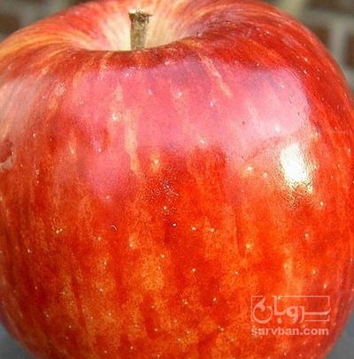 فروش سیب قرمز