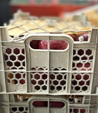 فروش سیب قرمز