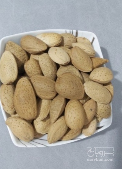 فروش بادام درختی