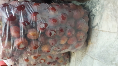 فروش سیب درجه ۲ 3