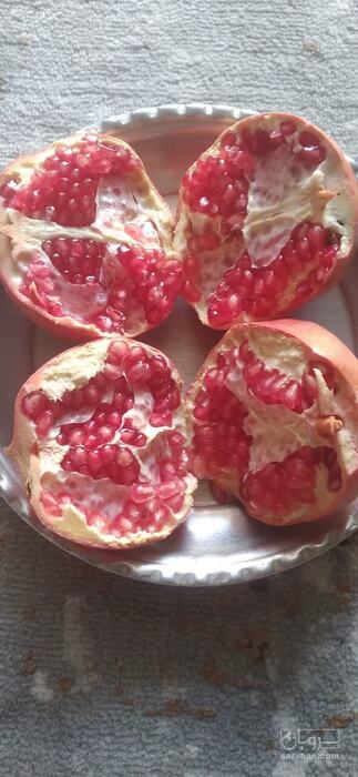 فروش انار