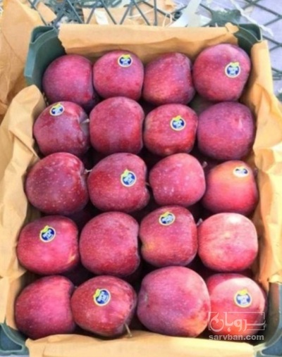 فروش سیب قرمز