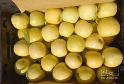 فروش سیب زرد