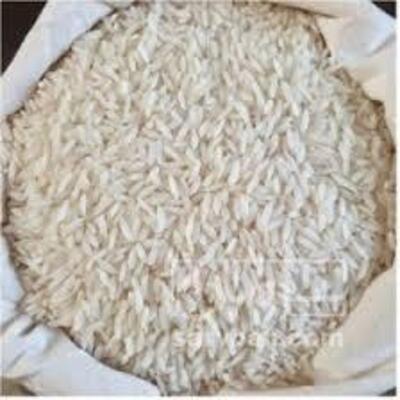 فروش برنج هاشمی
