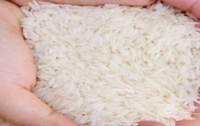 فروش برنج هاشمی