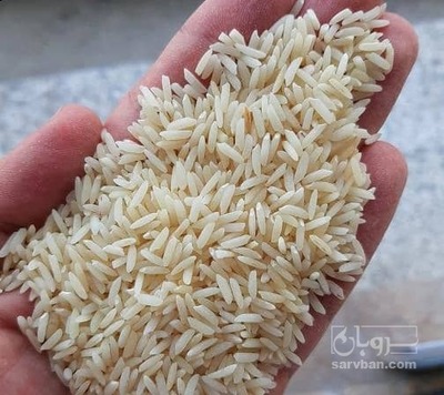 فروش برنج