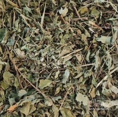 فروش بادرنجبویه خشک