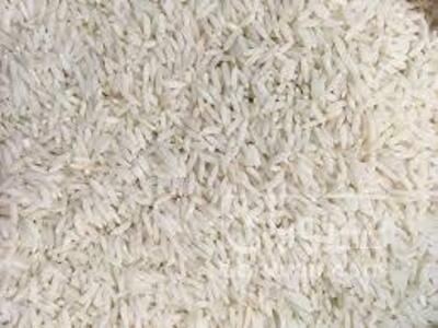فروش برنج هاشمی