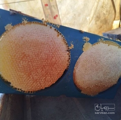 فروش انواع عسل